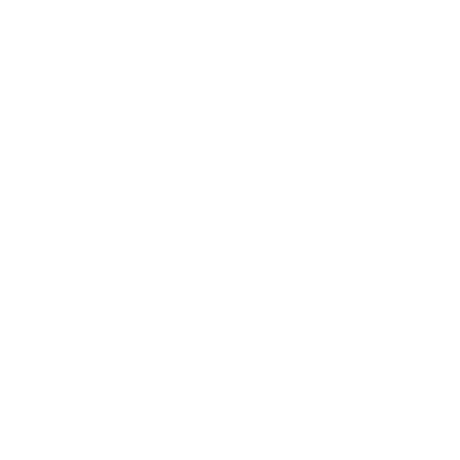 branch icon