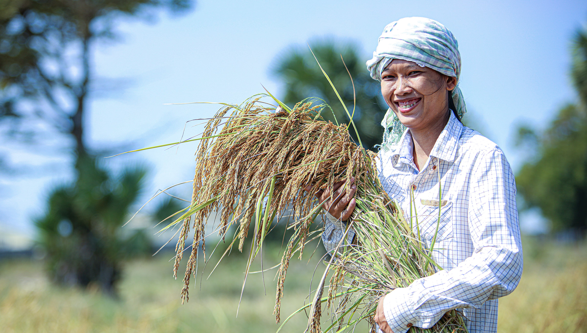 micro loan